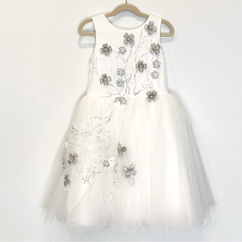 ZOË LTD Sparkle Embroidered Tulle Dress, White, 10